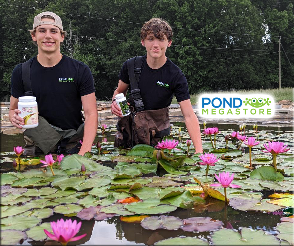 Waterlily World Pond Tabs + Humates (Choose Size) - Pond Megastore