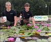 Waterlily World Pond Tabs + Humates (Choose Size)