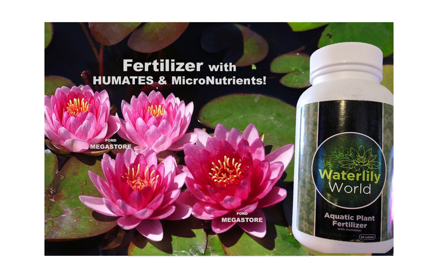 water plant fertilizer tablets PondTabbs Fertilizer Tablets Pond Plants, Waterlily