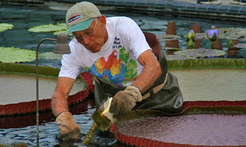 Results from Patrick Nutt  EndowedScholarship Naming Rights Event