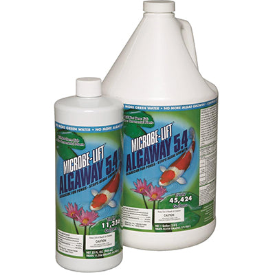 Algaecide or Preventatives