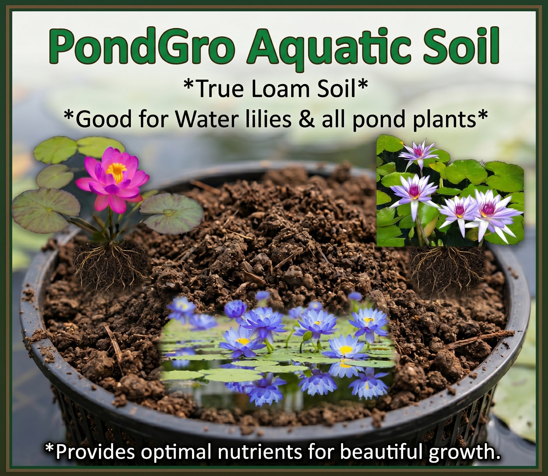 loam soil for potted plants PondGRO Perfect Blend Soil for Waterlily, Lotus, Pond Plants – Pond Megastore