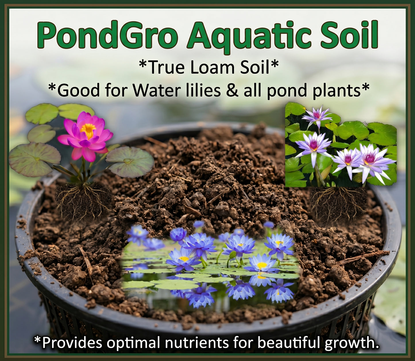 PondGRO Perfect Blend Soil for Waterlily, Lotus, Pond Plants