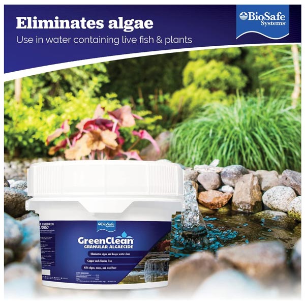 Biosafe Greenclean Granular Algeacide - Pond Megastore
