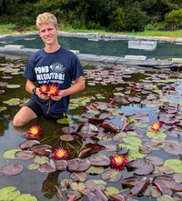 Ring of Fire New Hardy Water Lily! - Pond Megastore