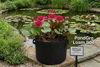 PondGRO Perfect Blend Soil for Waterlily, Lotus, Pond Plants