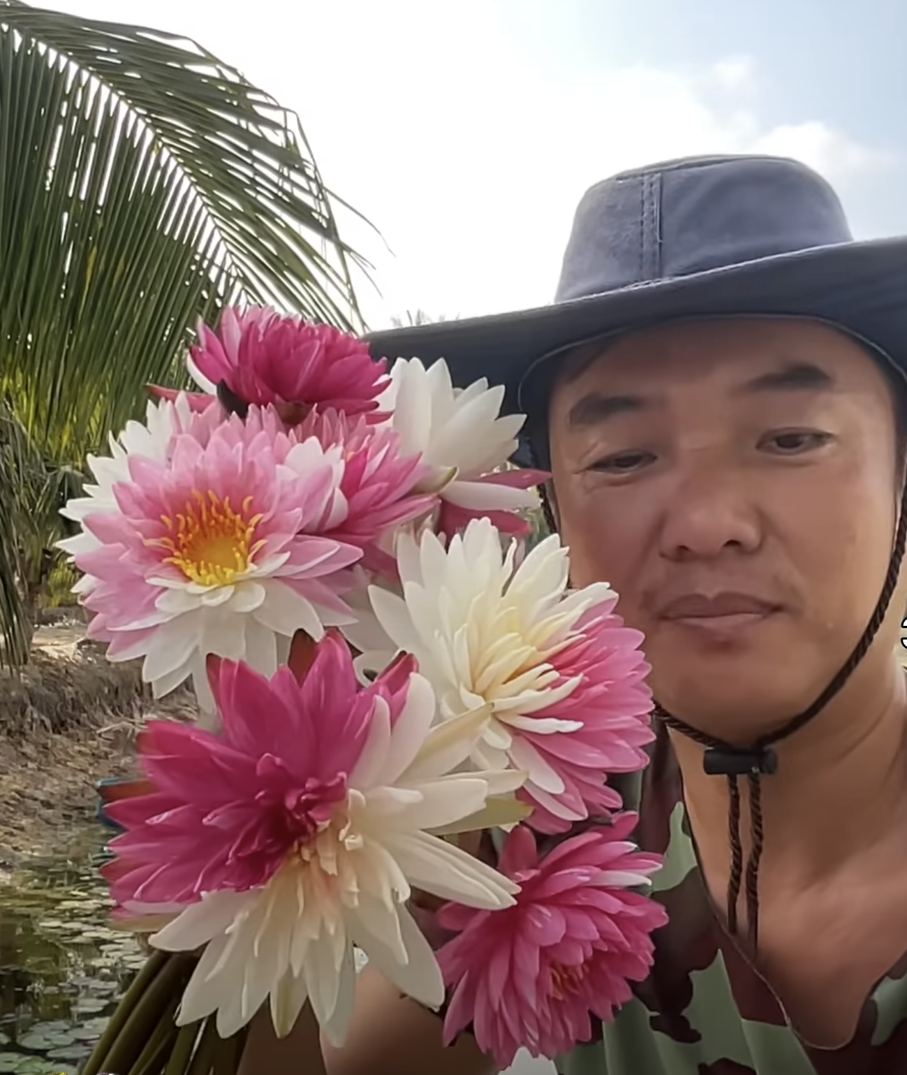 Jakkaphong Hardy Water Lily - Pond Megastore