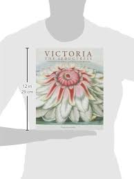 Victoria: The Seductress | Tomasz Anisko