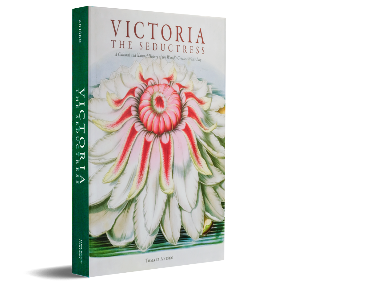 Victoria: The Seductress | Tomasz Anisko