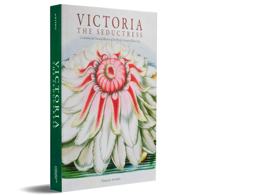 Victoria: The Seductress | Tomasz Anisko