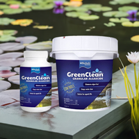 Biosafe Greenclean Granular Algeacide - Pond Megastore