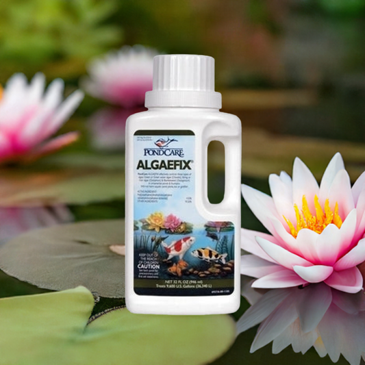 API Algafix - Pond Megastore