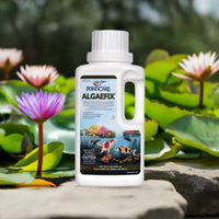 API Algafix - Pond Megastore