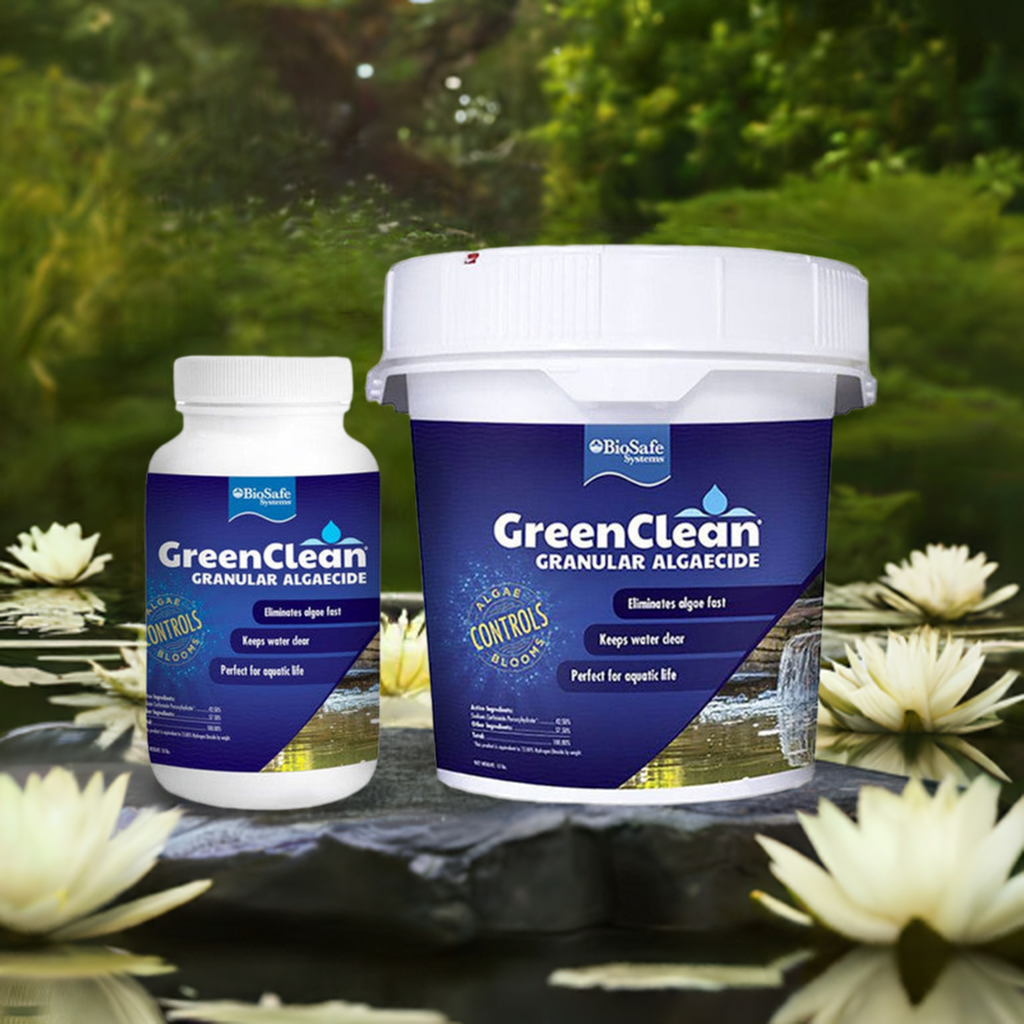 Biosafe Greenclean Granular Algeacide - Pond Megastore