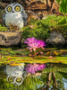 Fay McDonald <br> Hardy Purple Waterlily