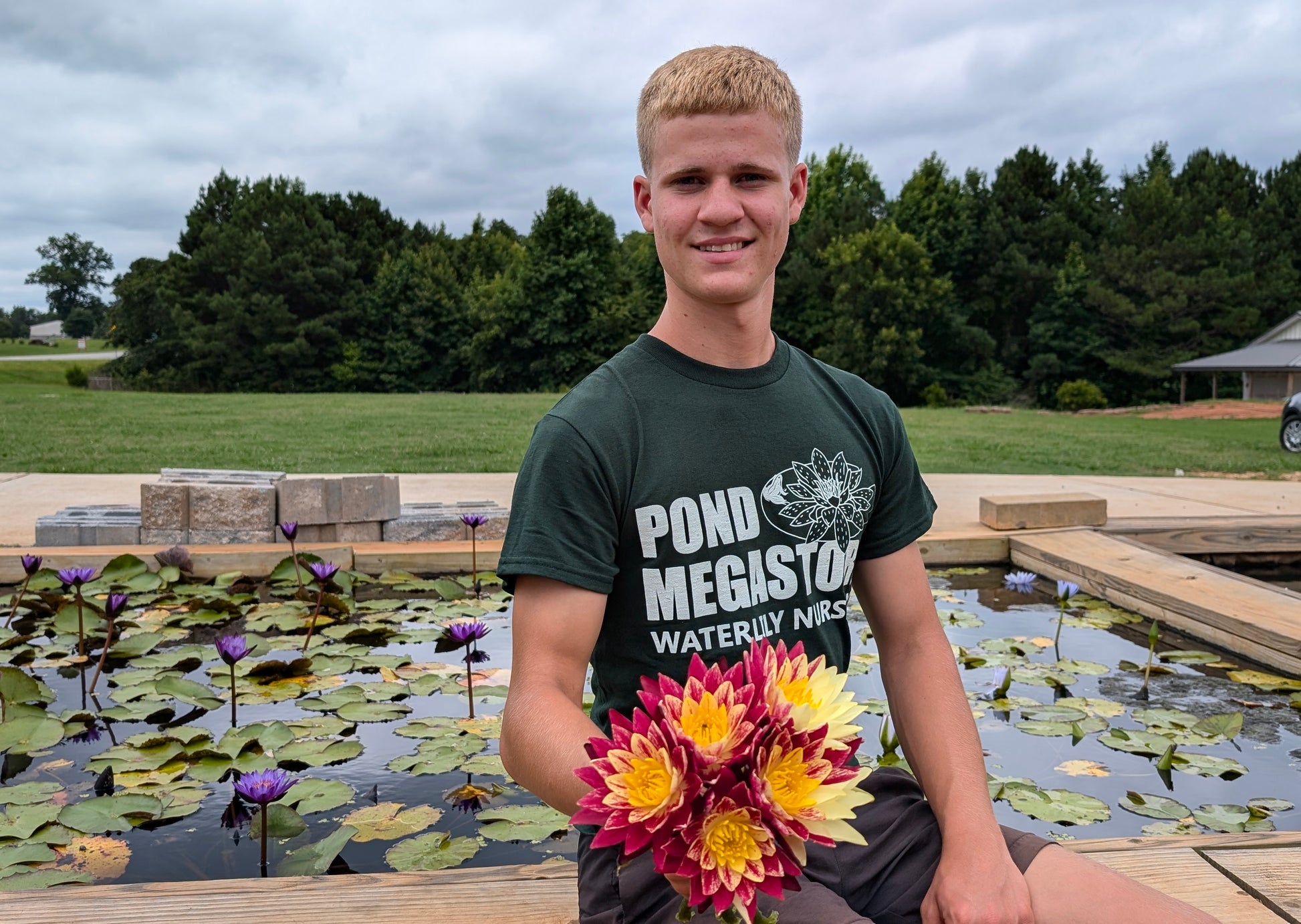 Ring of Fire New Hardy Water Lily! - Pond Megastore