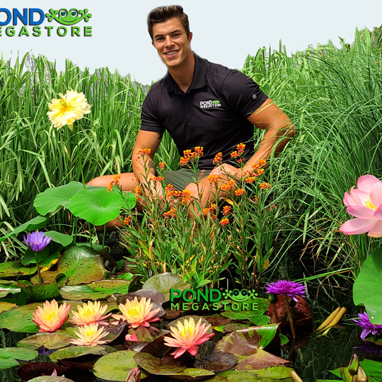 pond plant pots PondGro Pond Plant & Water Lily Growing Containers