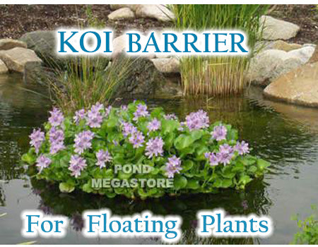 Floating Pond Plant-Koi fish Barrier<br> (3 Sizes to choose from) <br> Protect floating plants from koi<br> Available NOW!