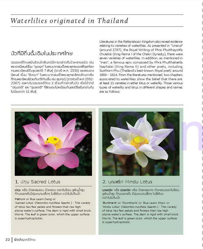 Thai Nationality Waterlily in Pang U Bon <br> by Primlarp Wasuwat & Komgrit Chukiatman <br> Hardcover - pondmegastore