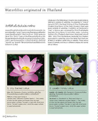 Thai Nationality Waterlily in Pang U Bon <br> by Primlarp Wasuwat & Komgrit Chukiatman <br> Hardcover - pondmegastore