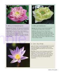 Thai Nationality Waterlily in Pang U Bon <br> by Primlarp Wasuwat & Komgrit Chukiatman <br> Hardcover - pondmegastore