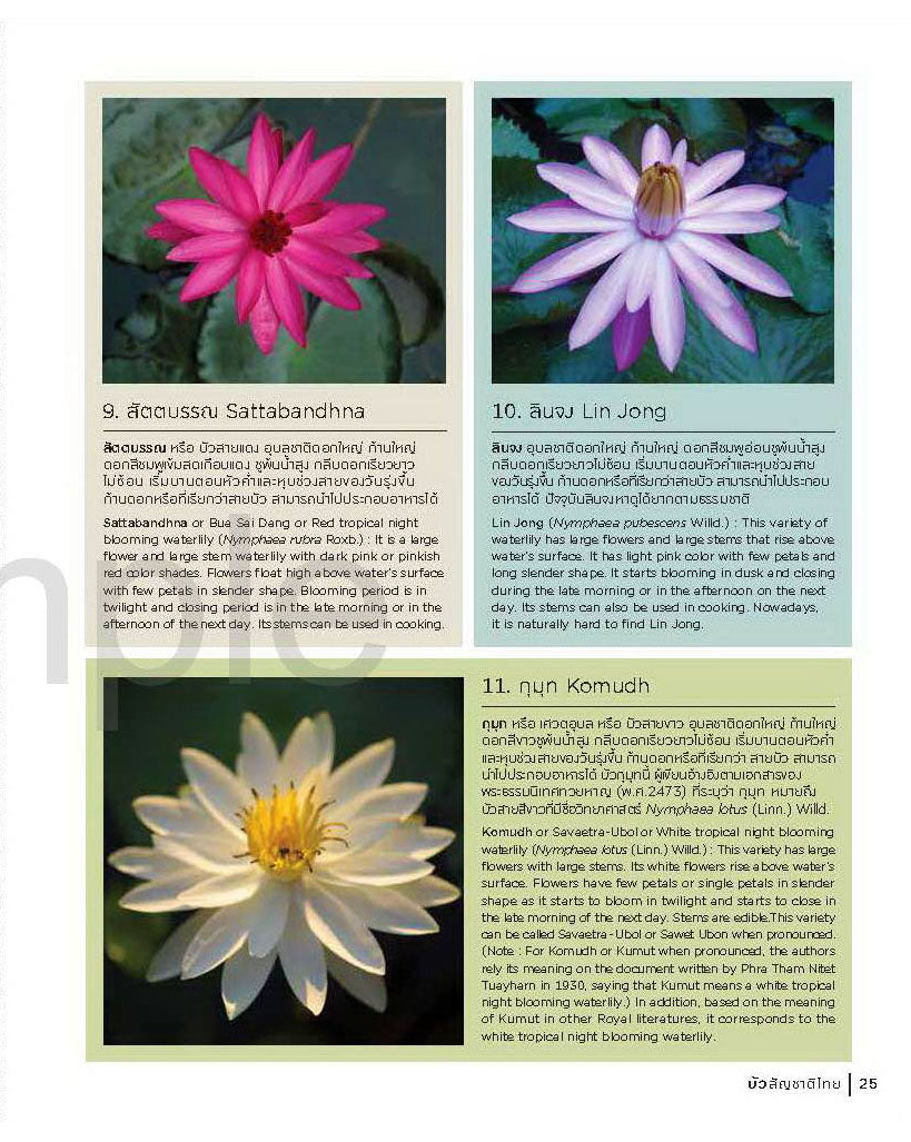 Thai Nationality Waterlily in Pang U Bon <br> by Primlarp Wasuwat & Komgrit Chukiatman <br> Hardcover - pondmegastore