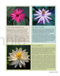 Thai Nationality Waterlily in Pang U Bon <br> by Primlarp Wasuwat & Komgrit Chukiatman <br> Hardcover - pondmegastore