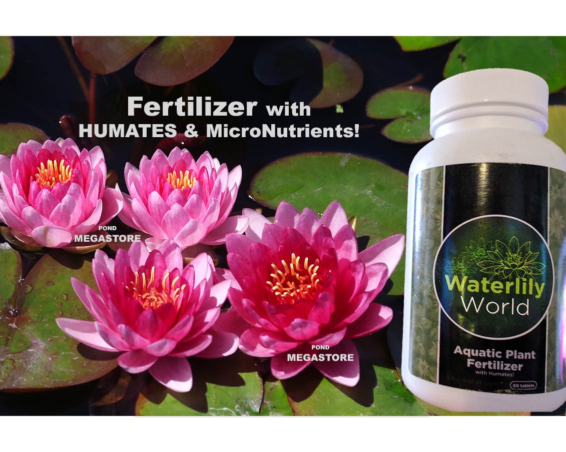 Waterlily World Pond Tabs + Humates (Choose Size) - pondmegastore