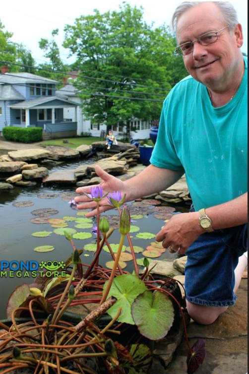 PondGRO Perfect Blend Soil for Waterlily, Lotus, Pond Plants <br>AVAILABLE NOW! - Pond Megastore