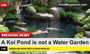 Koi Ponds are not Water Gardens!