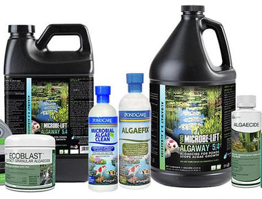 Beneficial Bacteria & Algae Treatments