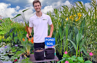 Water Lily Fertilizer, Containers, Pond Soil