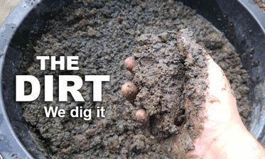 Aquatic Plant Soil, You need this!