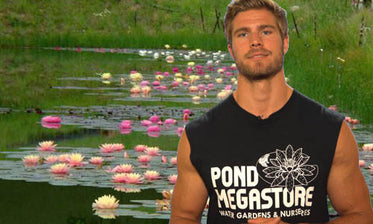 Earth Bottom Ponds & Natural Swimming Pools