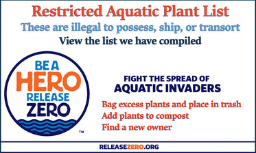 Invasive Aquatic Plants by State