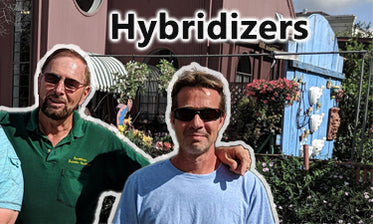 The amazing people behind the varieties <br> we love have a lot to teach us.